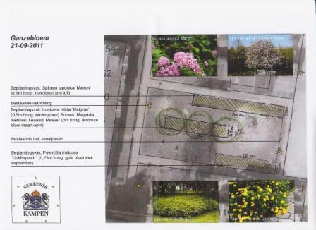 Groenbeplanting_ganzebloem