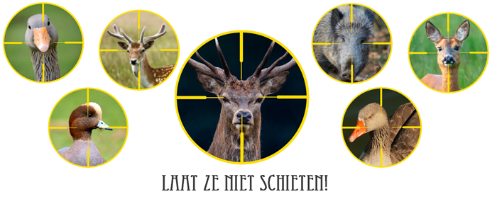 Laatzenietschieten