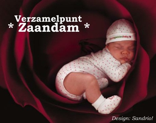 Vzp_zaandam