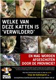 Definitiev_poster-anti-kattenjacht