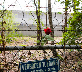 1110_wn_vrdet